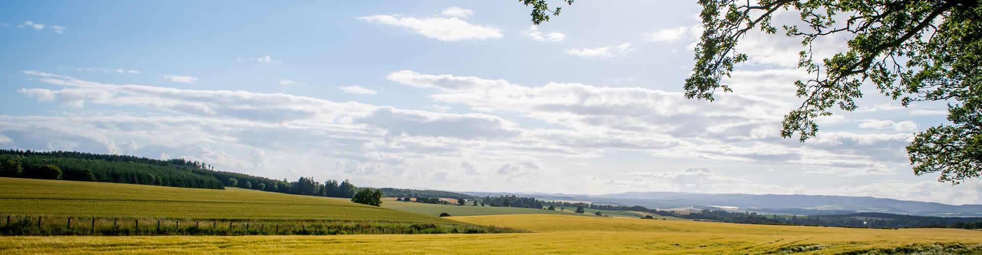 New homes for sale in Perthshire
